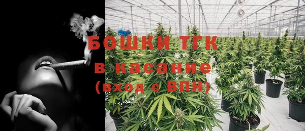 ГАЛЛЮЦИНОГЕННЫЕ ГРИБЫ Магас